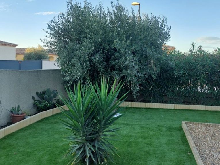 Pelouse et bordures entretenues dans un jardin à Béziers